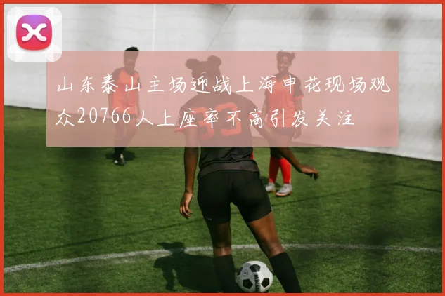 山东泰山主场迎战上海申花现场观众20766人上座率不高引发关注