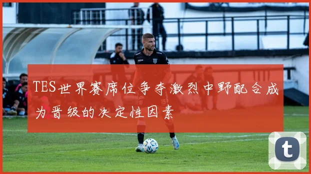 TES世界赛席位争夺激烈中野配合成为晋级的决定性因素
